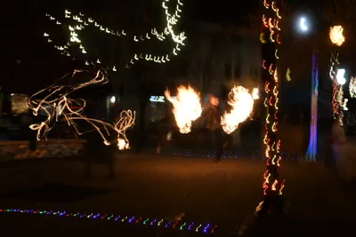 DSC_6713 (Large).JPG